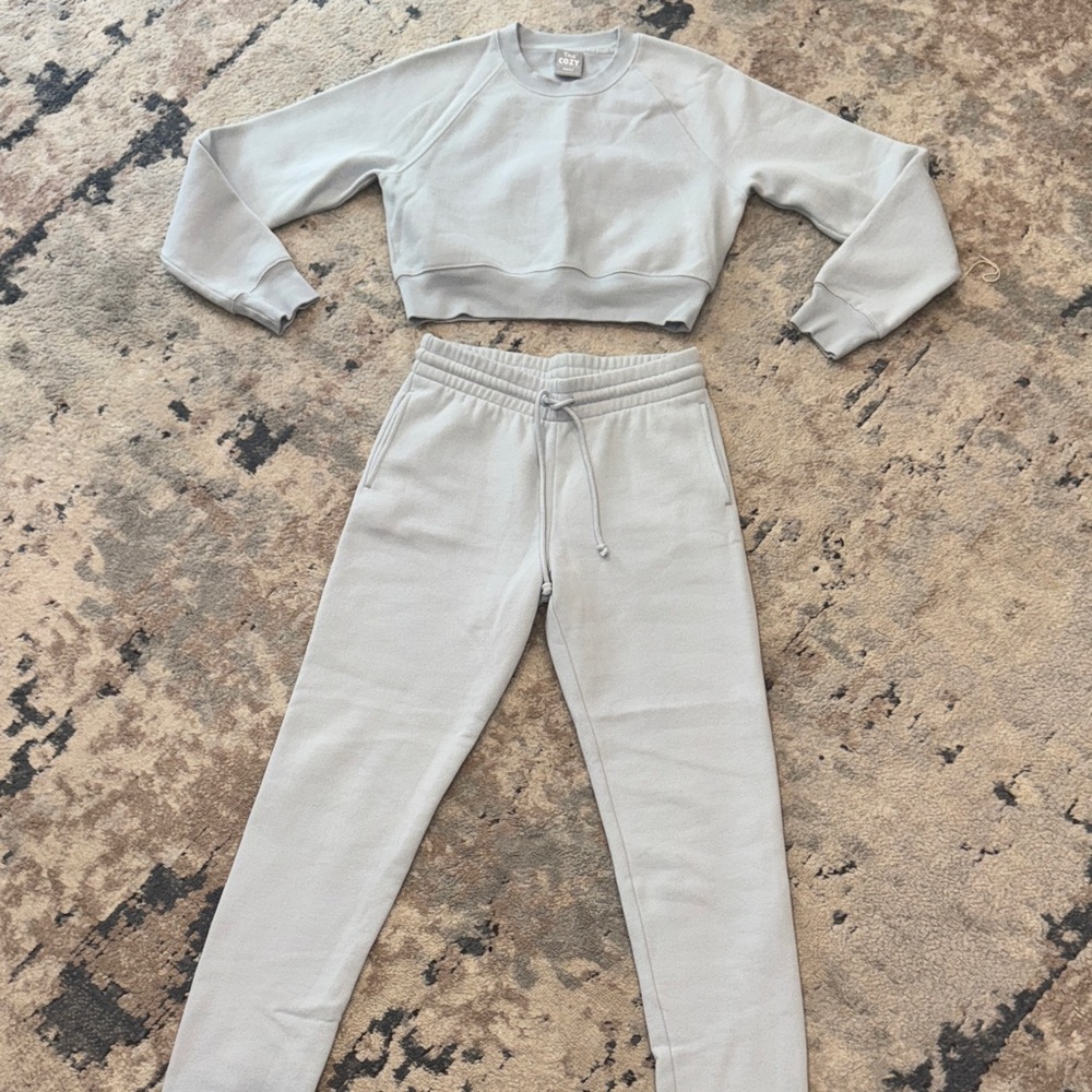 Aritzia Light Gray Cropped Sweatshirt & Joggers Set